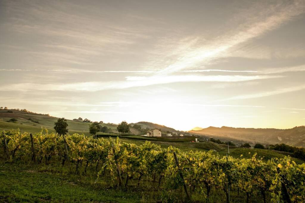La Casa Vacanza Con Vista Panoramica Sui Vigneti Rotella Dış mekan fotoğraf